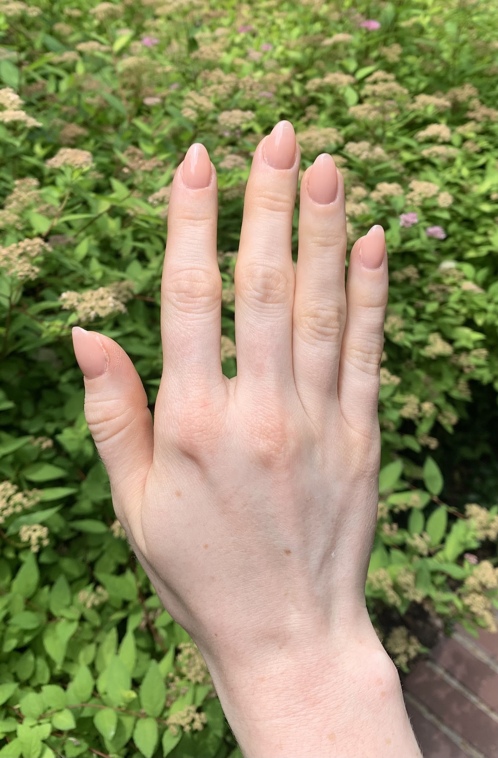 Anna's Nail at Cherry Creek nail photo 1